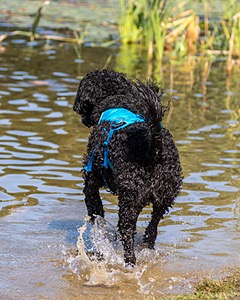 Fenwick Janet