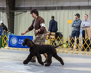 20260228-0222.jpg