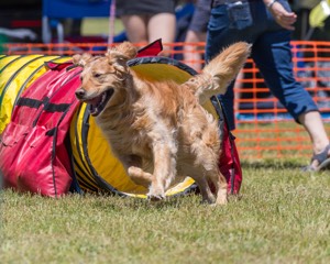 20190615-CCKC-0935.jpg