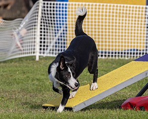 20230916-PVKC-1630.jpg