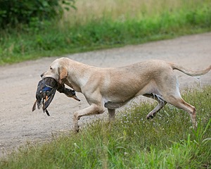 20130713-MHB2-0246.jpg
