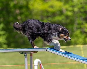 20170520-NEAT-1130.jpg