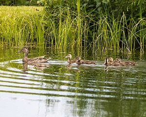 20260726-C-0011.jpg