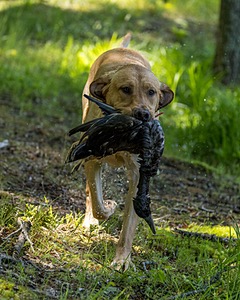 20220604-SHW-2029.jpg