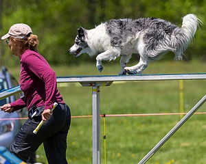 20170520-NEAT-1553.jpg