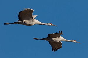 20151206-3570.jpg
