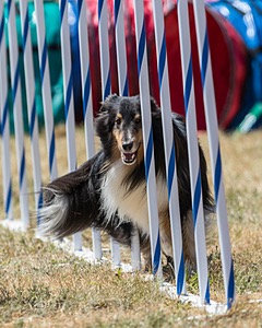 20160618-CCKC-1710.jpg