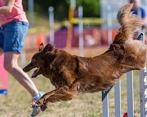 20160618-CCKC-0084.jpg