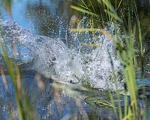 20220731-JHW-0014.jpg