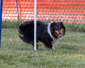 20200819-2920.jpg