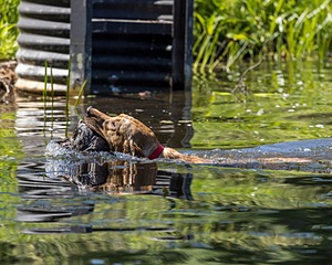 20220604-SHW-2005.jpg