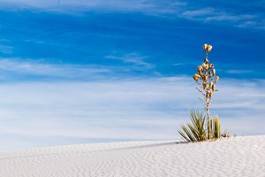 White Sands National Monument, New Mexico