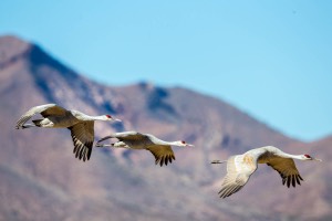 20151206-2363.jpg