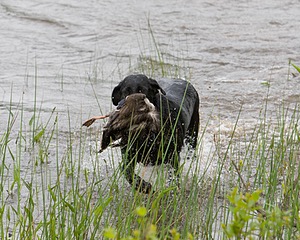 20080531-HRW-0105.jpg