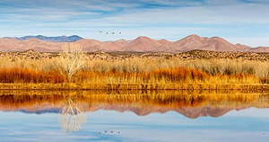 New Mexico