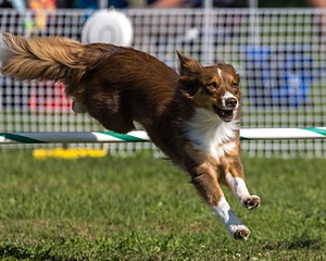 20220917-PVKC-0199.jpg