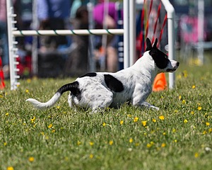 20160514-NEAT-0557.jpg