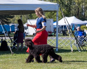 24 - POOLE'S IDE MODERN LOVE CGC (Remi)
