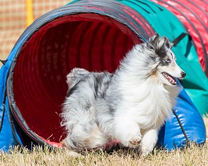 20160619-CCKC-0459.jpg
