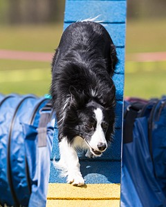 20160514-NEAT-1134.jpg