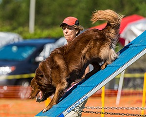 20180617-0229.jpg