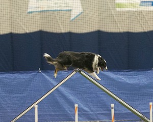 20150321-LEAP-1028.jpg