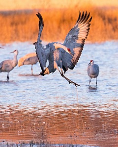 20151206-1137.jpg