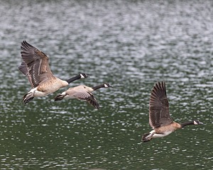 20190817-C-0004.jpg