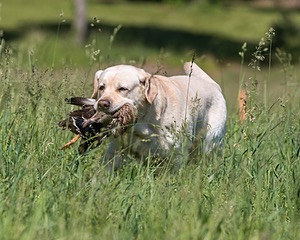 20210606-SEAL-1449.jpg