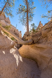 20151205-0353-HDR.jpg