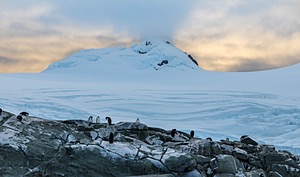 20260319-0194.jpg