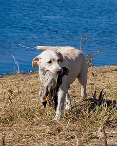 20061014-JHW-209.jpg