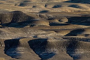 20241025-0092.jpg