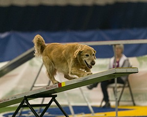 20150321-LEAP-0711.jpg