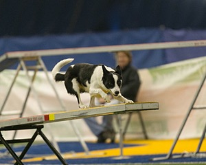 20150321-LEAP-1022.jpg