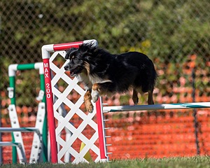 20200819-2588.jpg