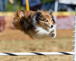 20160619-CCKC-0453.jpg