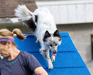 20230917-PVKC-2816.jpg