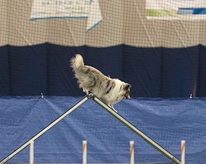 20150321-LEAP-1404.jpg