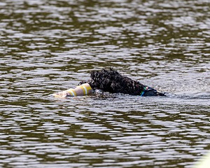 20210912-WWD-0739.jpg