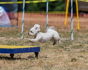 20160619-CCKC-1110.jpg