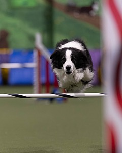 20260221-0140.jpg