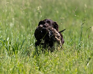 20210606-SEAL-0789.jpg