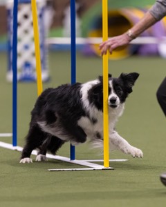 20260222-1198.jpg
