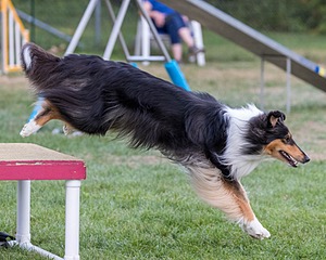 20200819-2931.jpg