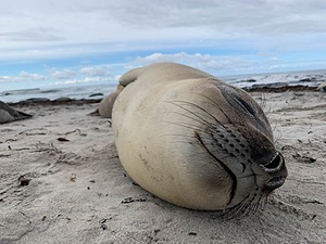 20191217-0650.jpg