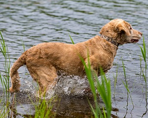 20170603-SHRW-1308.jpg