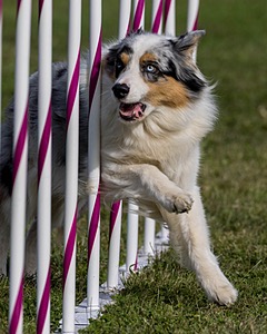 20230916-PVKC-1478.jpg