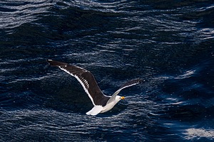 20260325-0073.jpg