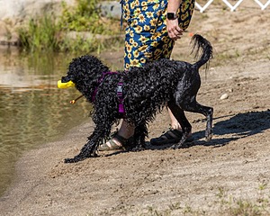 Winnie Patrice